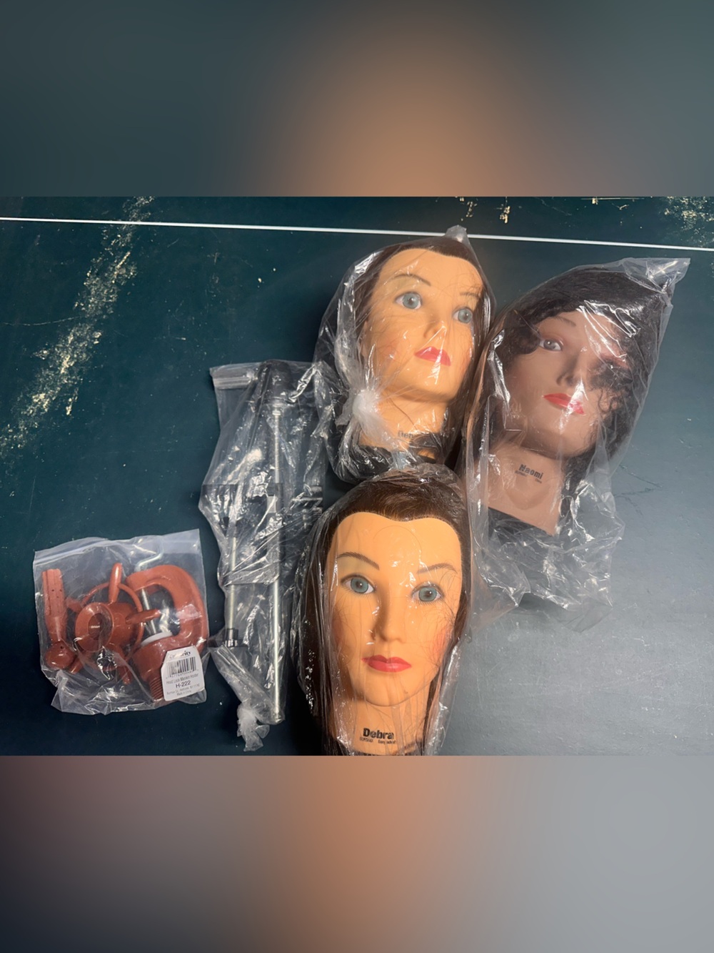 Cosmetology School Mannequin Head Bundle With Stands